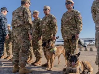 Argentina envió ayuda humanitaria a Venezuela: El Ejército desplegó personal y equipamiento especializado
