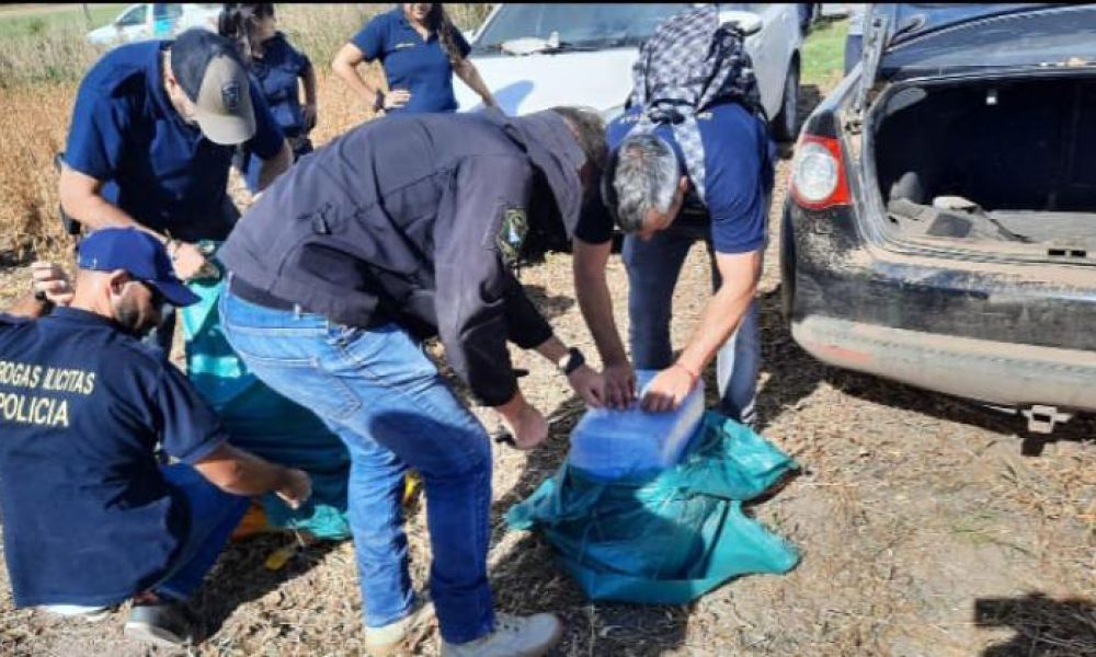 Cocaína hallada en el campo