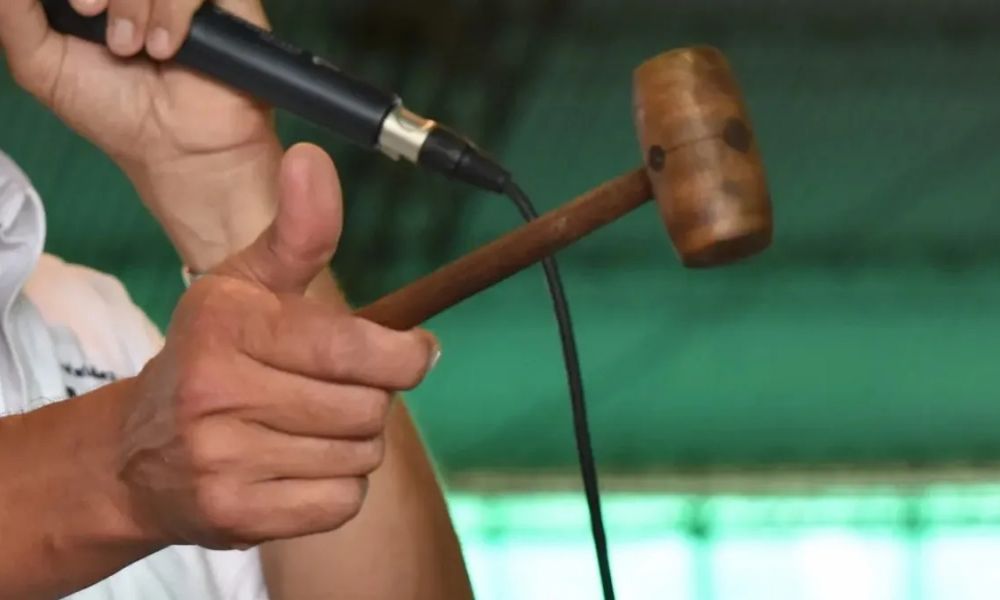 Segundo Remate Solidario del Taller Protegido