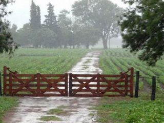 Ante la grave situacin agroclimtica, la expectativa est puesta en las lluvias
