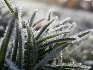 Alerta por frío extremo: Una masa de aire polar pone bajo riesgo a 18 provincias