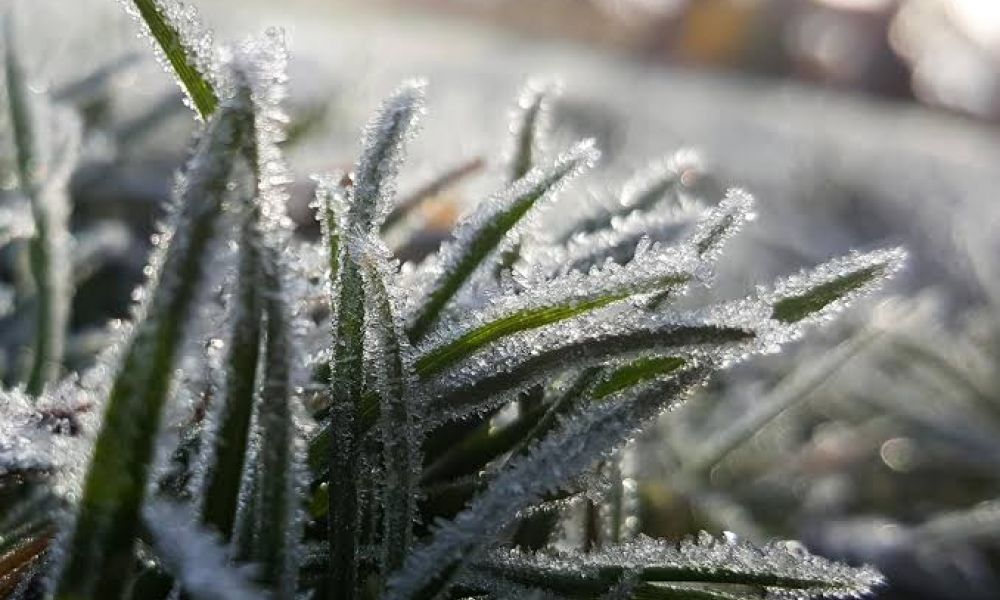 Una masa de aire polar pone bajo riesgo a 18 provincias