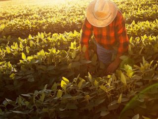 Día del Ruralista Argentino: Un homenaje a quienes trabajan la tierra