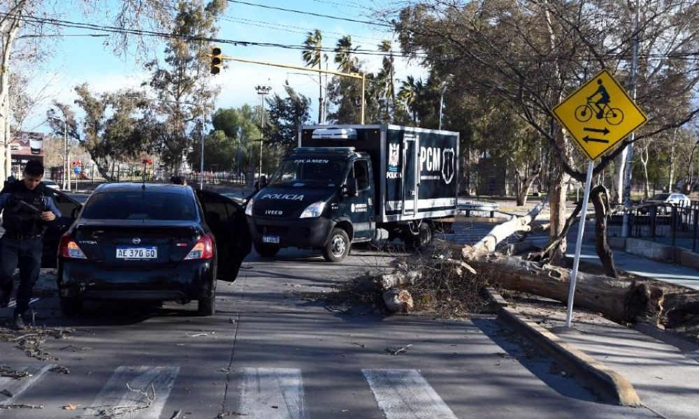 El viento Zonda deja muertes y destrozos