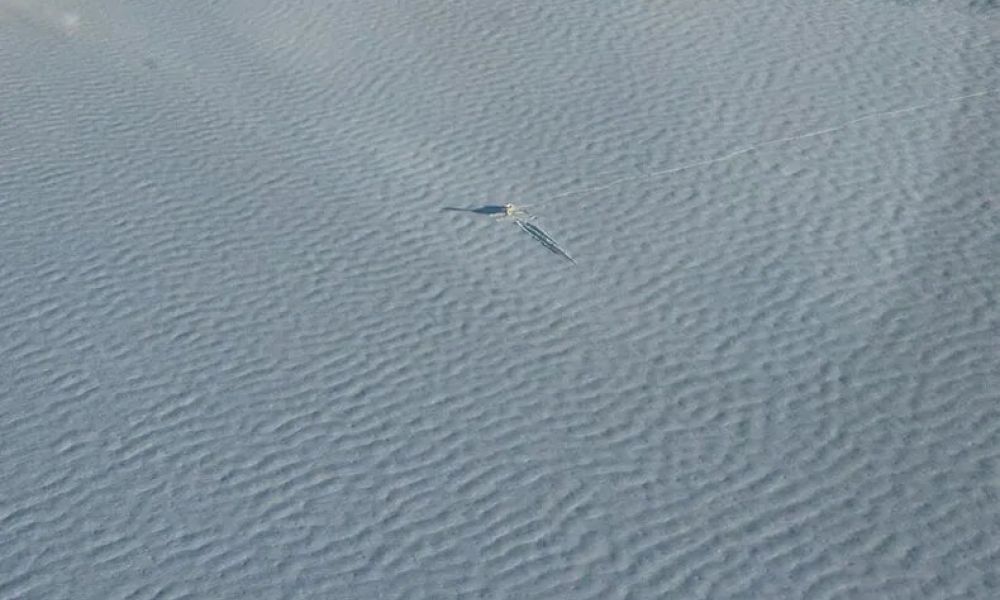 Piloto protagoniza aterrizaje de emergencia