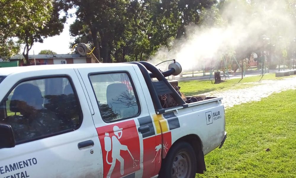 Intensifican la fumigación en espacios verdes