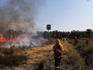 Alerta m�xima por incendios: La provincia de Buenos Aires bajo riesgo extremo y m�s de 20 mil hect�reas afectadas