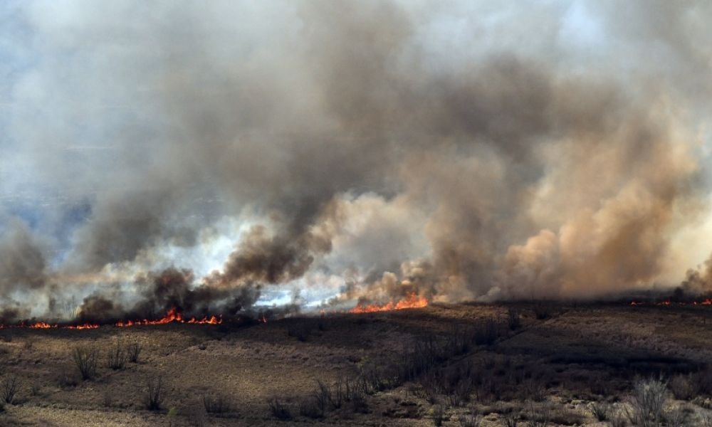 Incendios del río Paraná
