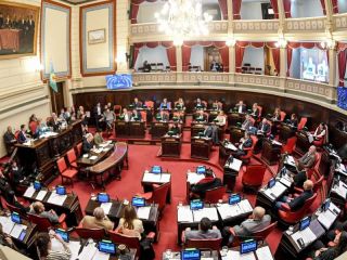 El Senado aprobó la reforma de la Ley de Salud Mental: qué cambia en las internaciones involuntarias