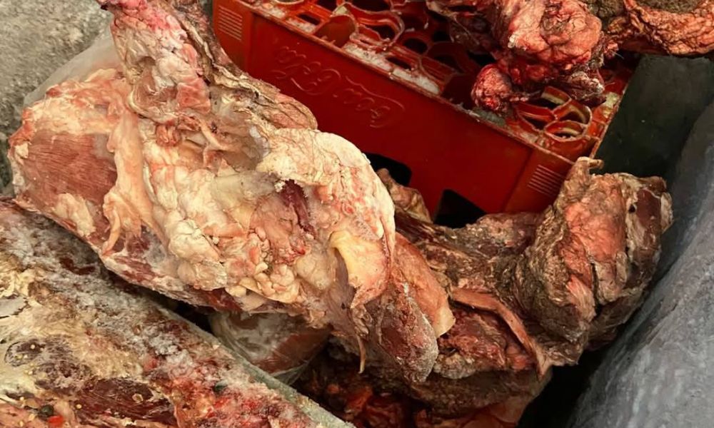 Amplio operativo en Pergamino contra el abigeato