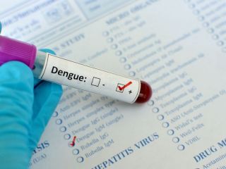 Argentina lanza su primer test nacional de diagnstico de dengue
