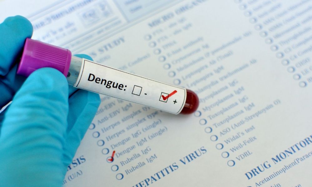 Lanzan el primer test nacional de diagnóstico de dengue