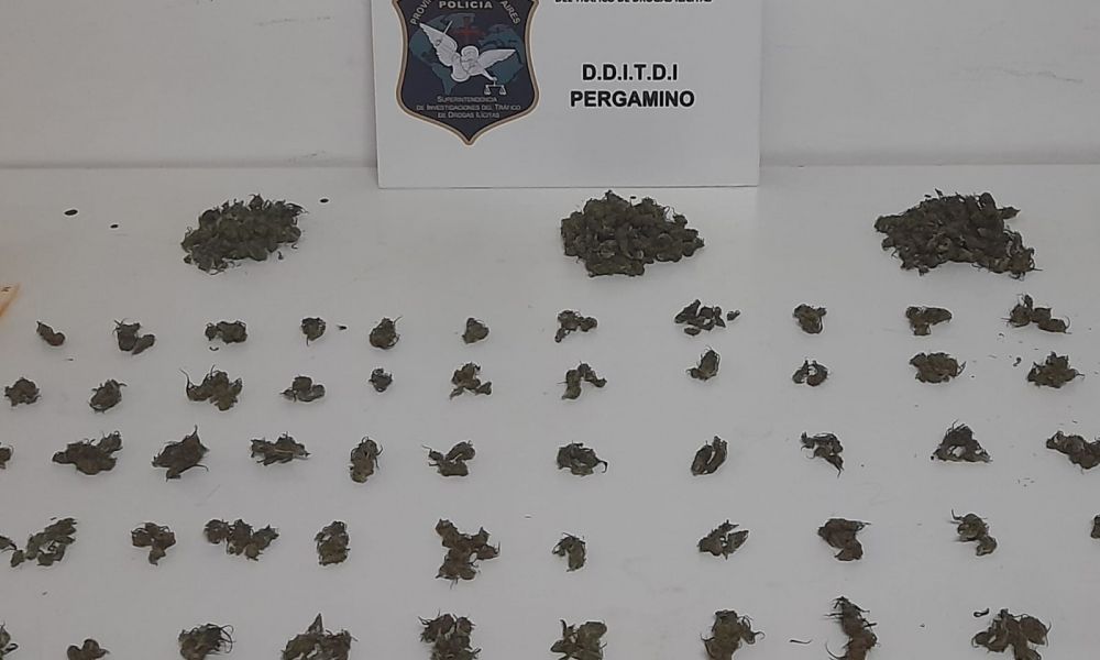 Allanamientos por comercio de drogas en barrio Acevedo