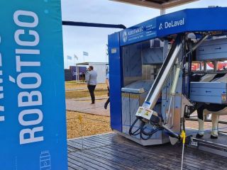Revolucin en el agro: Ms de 400 tambos robotizados en Argentina