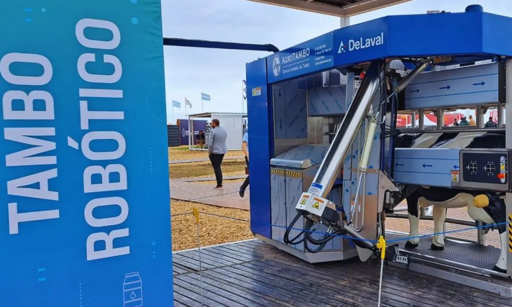 Más de 400 tambos robotizados en Argentina