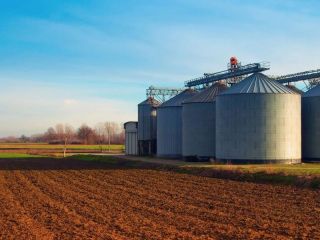 Tragedia en Benito Jurez: Un nio perdi la vida mientras jugaba en un silo