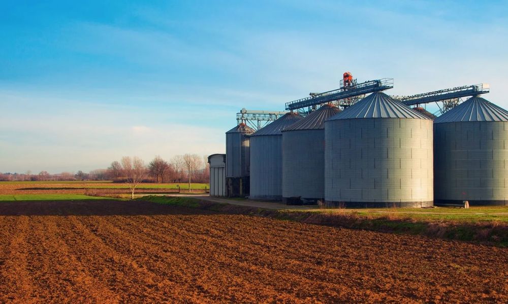 Un niño perdió la vida mientras jugaba en un silo