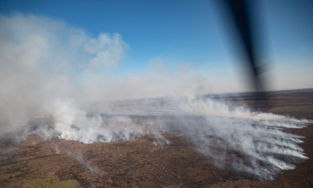 Detenidos por intentar prender fuego en las islas