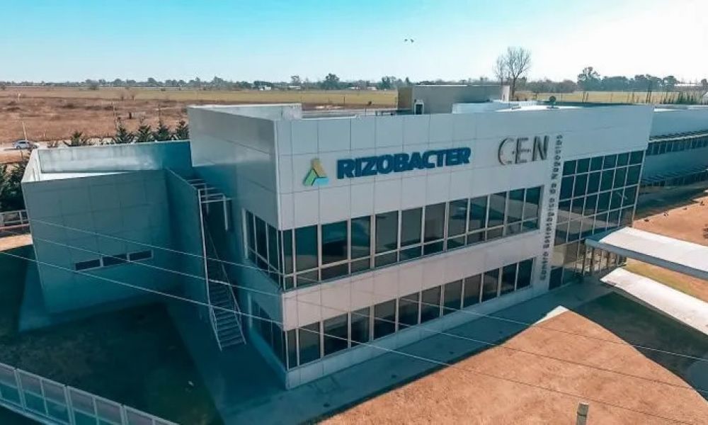 Bioceres en quiebra: Qué puede pasar con Rizobacter