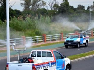 Formosa: al menos 74 casos de dengue