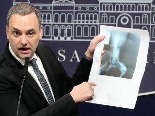 Escndalo en discapacidad: Radiografa de un perro entre pruebas de pensiones truchas
