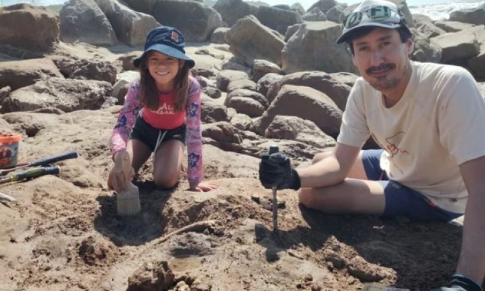 Encuentran gliptodontes de 3 millones de años de antigüedad