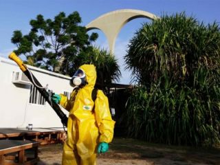 El virus zika y el dengue en Argentina