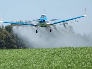 Expectativa en Pergamino: Los imputados defendieron su inocencia antes del histórico fallo por las fumigaciones