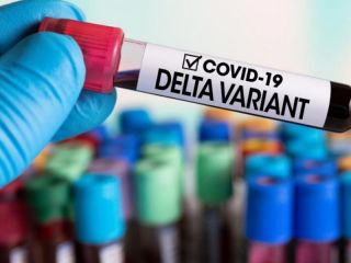 Alerta: Otros nueve casos positivos de la variante Delta llegaron al pas desde el exterior