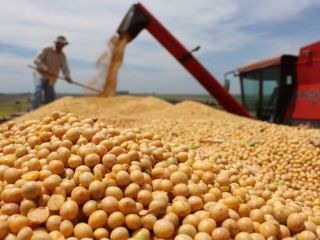 El campo, otra vez afuera: CARBAP denuncia que la baja de retenciones fue un negocio para exportadores