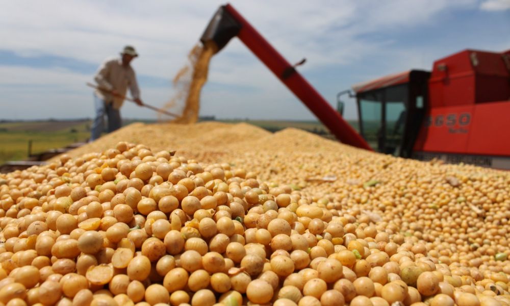 El campo, otra vez afuera