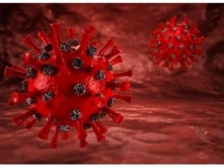 Variante Delta: las provincias profundizan controles y vigilancia epidemiolgica