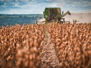 Quines ganaron con el retenciones cero: Siete cerealeras se llevaron casi todo el beneficio