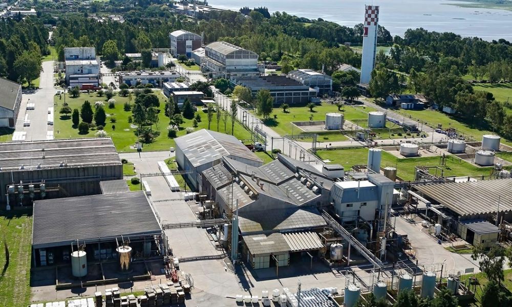 Atanor en San Nicolás