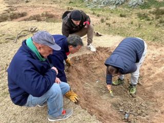 Descubren madriguera prehistrica con restos de guanaco en San Pedro