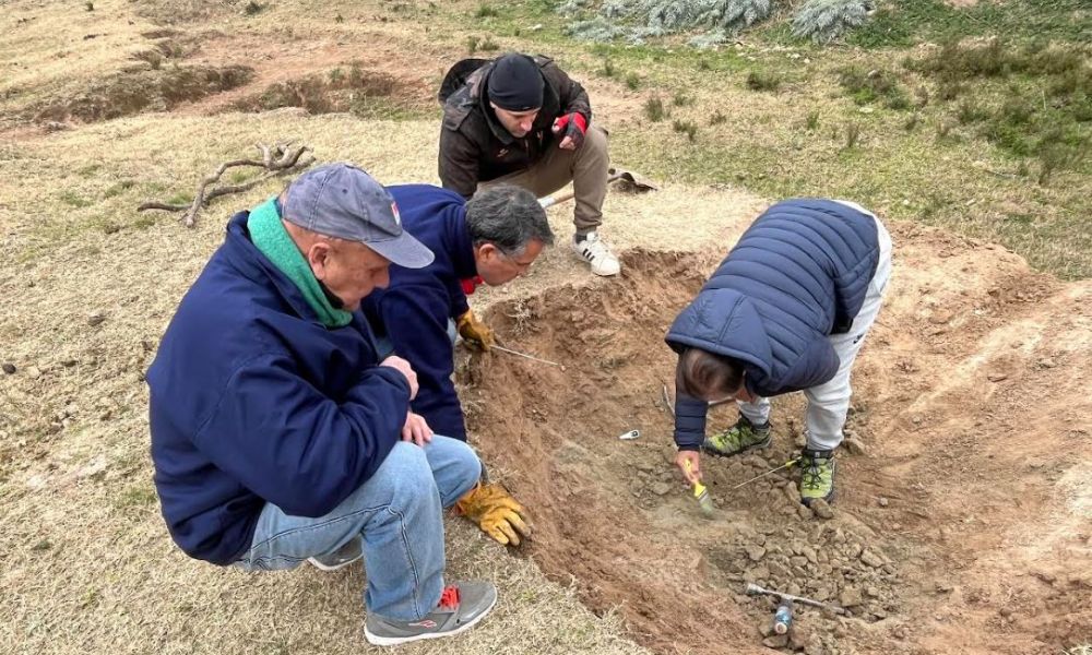Descubren madriguera prehistórica Descubren madriguera prehistórica