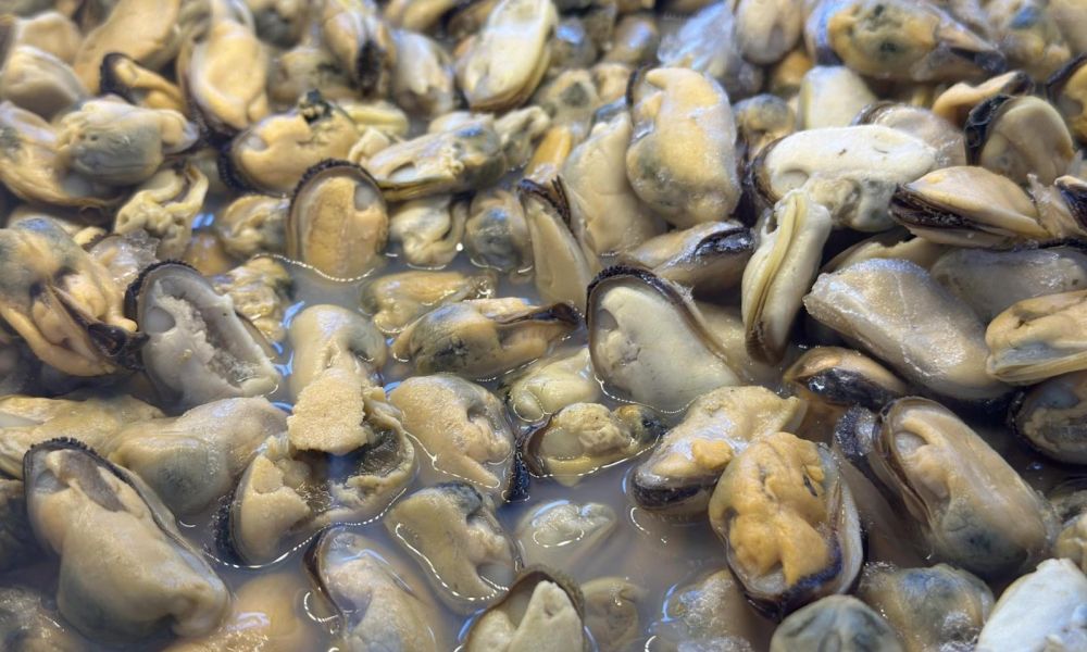 ¿Cómo evitar intoxicaciones por marea roja?