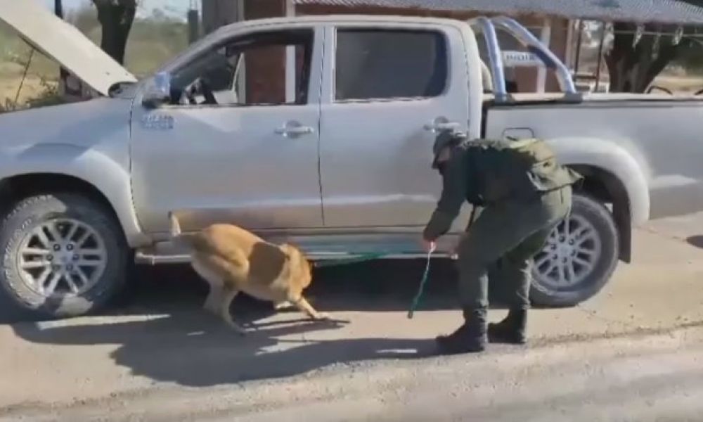 Más de 29 kilos de cocaína dentro del tanque