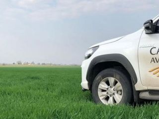 Otro golpe financiero en el agro: Campo de Avanzada no podr pagar su Obligacin Negociable