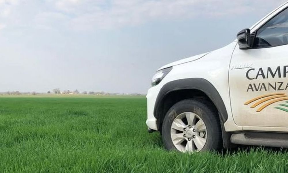 Otro golpe financiero en el agro