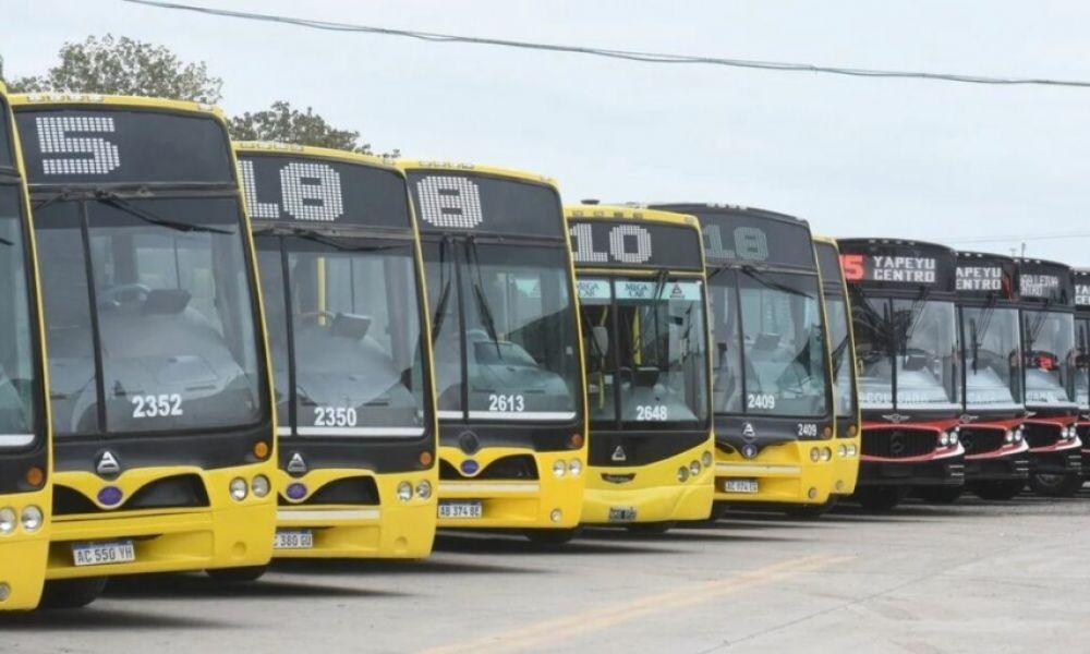 Cámaras de seguridad en colectivos