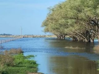 Emergencia agropecuaria en 12 municipios bonaerenses por lluvias extremas