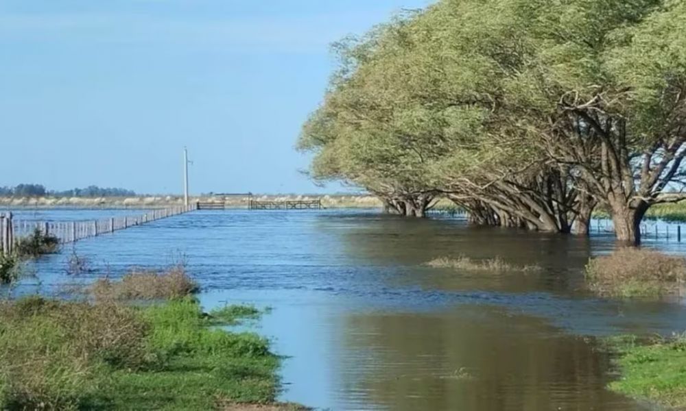 Emergencia agropecuaria en 12 municipios bonaerense