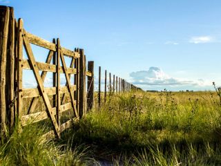 Menos impuestos para el campo bonaerense: ARBA implementa bonificaciones y descuentos