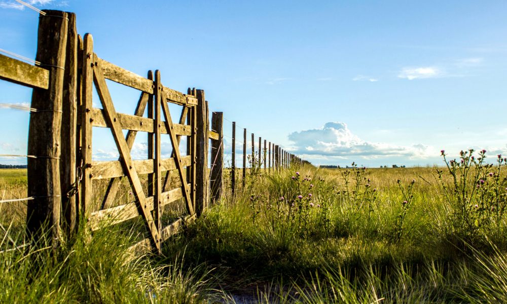 Menos impuestos para el campo bonaerense