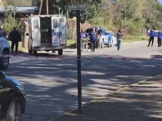 Horror en Cosquín: Murió una nena de 4 años tras el brutal ataque de un perro