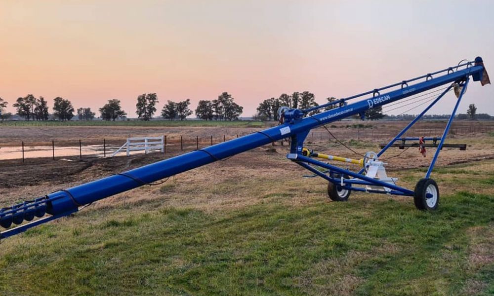 Chimango (Foto ilustrativa)