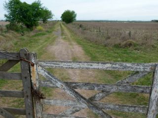 El Senado bonaerense avanza con beneficios para productores y cambios en la emergencia agropecuaria