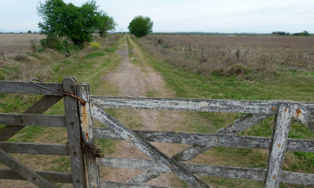 El Senado bonaerense avanza con beneficios para productores