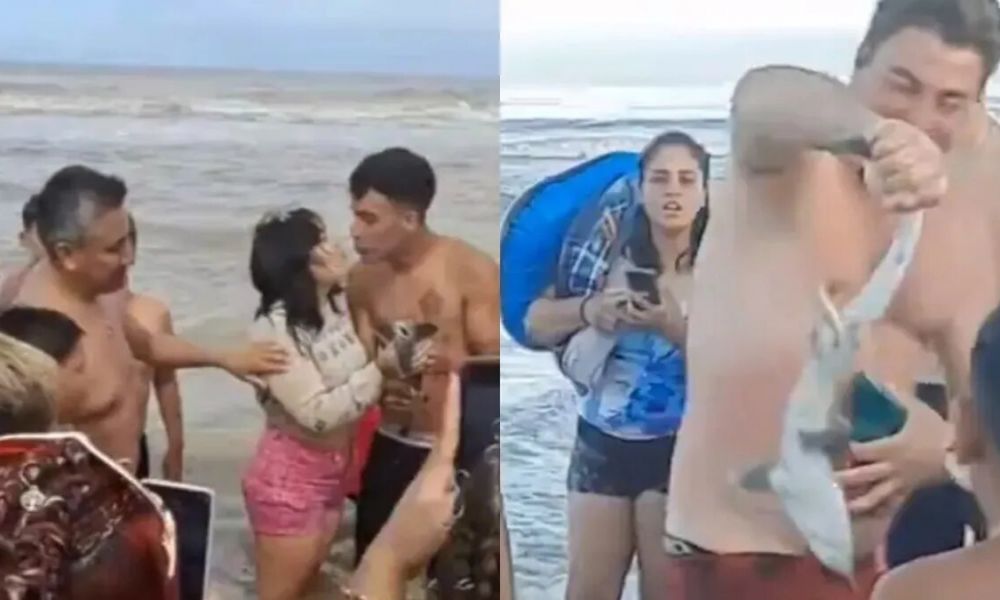 Susto y polémica por la aparición de un pequeño tiburón